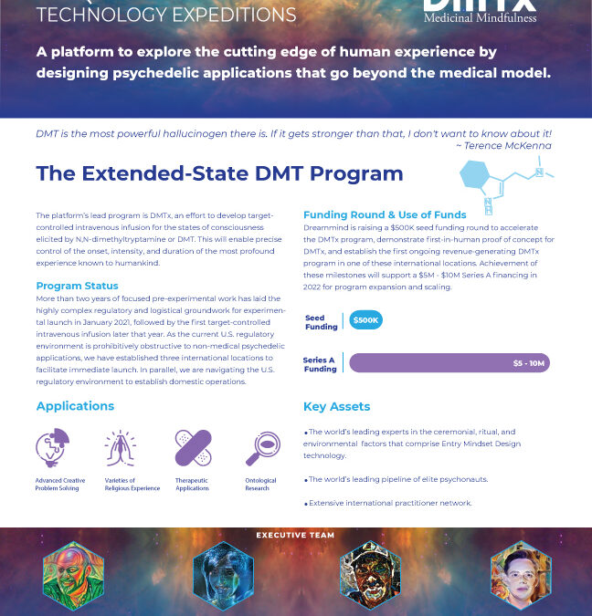 Extended State DMT Fact Sheet
